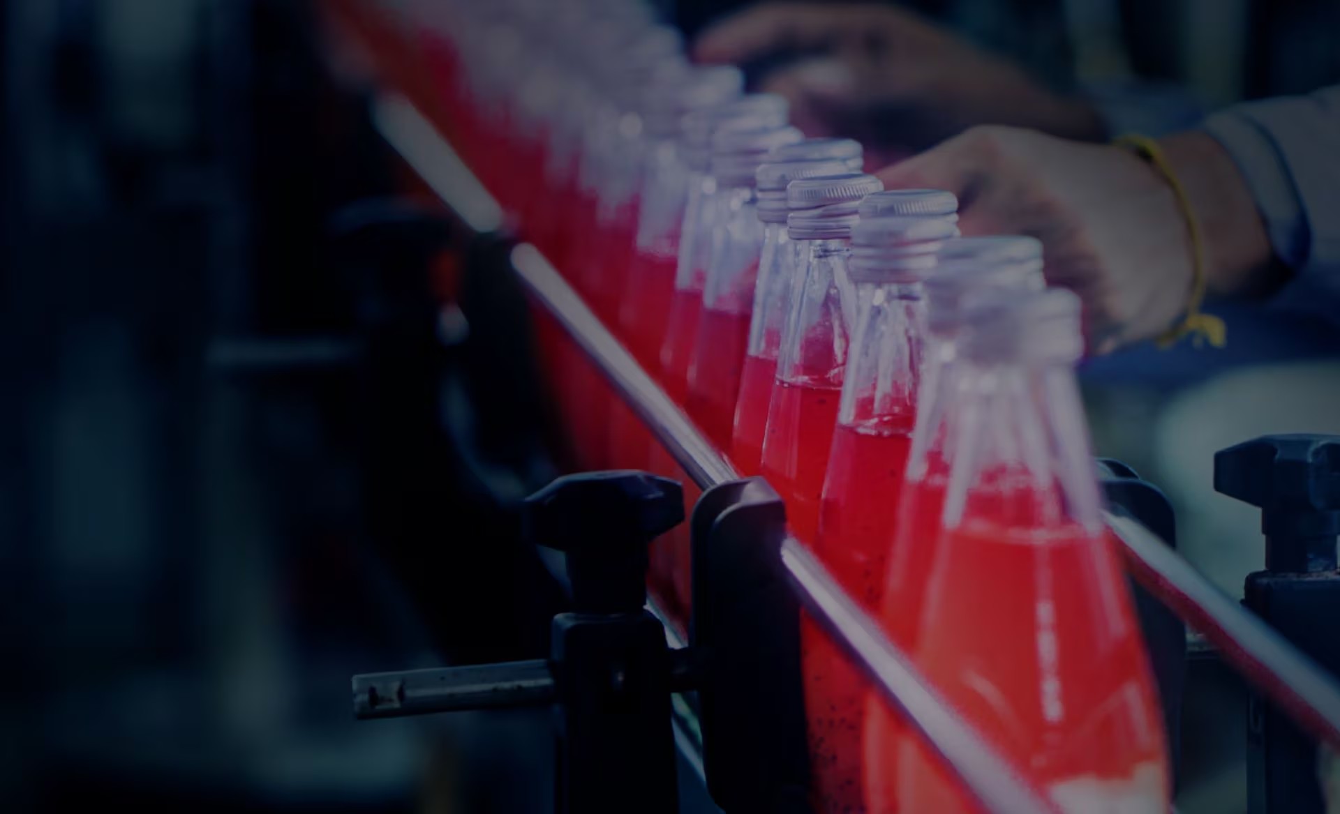 Bottling conveyor rollers2